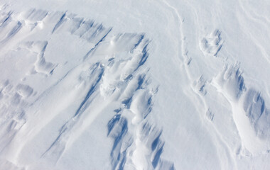 Wall Mural - The snow is white and the ground is covered in it