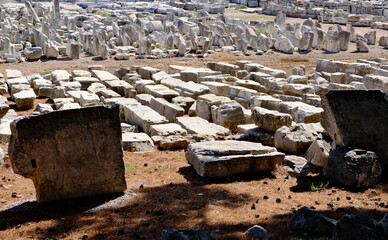 Wall Mural - ancient ruins in Ephesus, Turkey