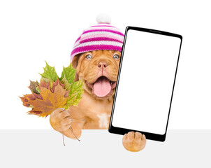 Aufkleber - Happy puppy wearing warm hat holds dry leaves and big smartphone with white blank screen in it paw above blank white banner