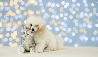 Fototapete - Playful Poodle puppy licking kittens ear on festive background. Empty space for text
