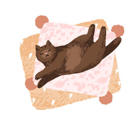 Poster - Cute cat lying on comfortable cushion. Adorable feline, relaxed home pet sleeping with belly up. Funny lazy kitty in cozy peaceful pose. Flat vector illustration isolated on white background