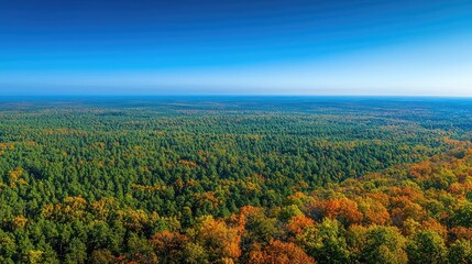 Aufkleber - Aerial View forest idea. Stunning aerial view of lush forest with colorful autumn foliage under a clear blue sky.
