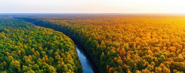 Aufkleber - Aerial View forest idea. Stunning aerial view of a lush forest and winding river during golden hour.
