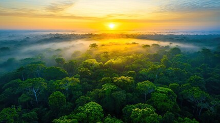 Poster - Aerial View forest idea. Breathtaking aerial view of a lush green forest under a vibrant sunset sky.