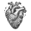 © Oleksandr Pokusai - anatomical human heart with veins and arteries, featuring intricate linework sketch engraving generative ai vector illustration. Scratch board imitation. Black and white image.