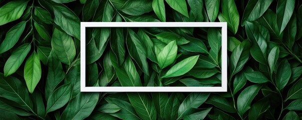 Poster - Tropical frame concept. A vibrant arrangement of green leaves with a minimalistic white frame design.