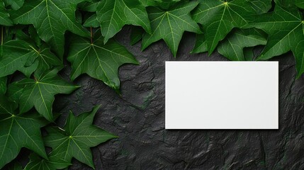 Poster - Tropical frame concept. Vibrant green leaves with a blank card placed on textured stone background.