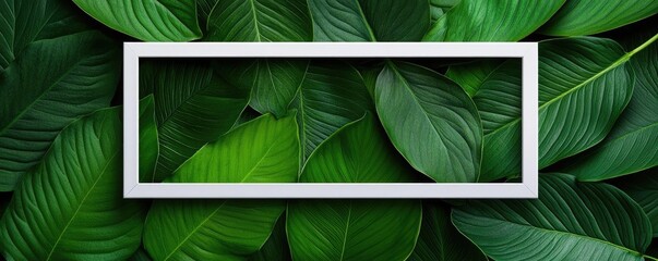 Fototapete - Tropical frame concept. A vibrant arrangement of green leaves with a blank frame, ideal for nature-themed designs.