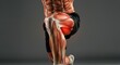 © gn8 - Male fitness anatomy demonstration with muscular overlay detailed in exercise pose