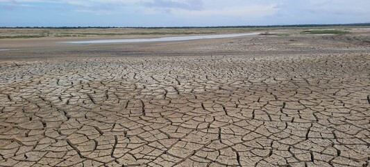 Cambio climático: sin vegetación 