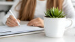 © MAN - Desk Plant and Planner Realistic Image