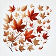 © Vladimir Steblev - Autumn maple leaves fluttering in the air. Movement and natural flow with isolated on white background.
