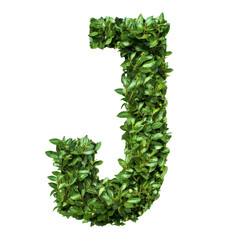 Poster - Green leaves form the letter J isolated transparent background