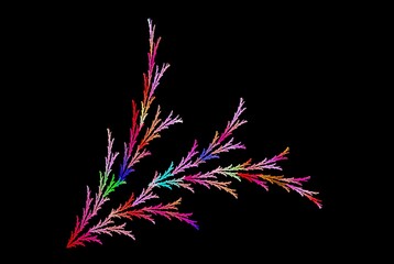 Poster - Computer generated fractal pattern and shape