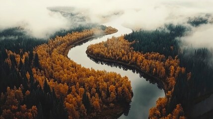 Wall Mural - Serpentine River Flows Through Autumnal Forest Mist