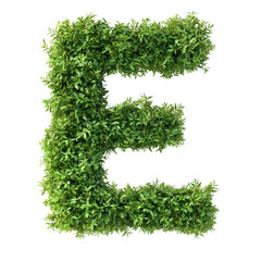 Aufkleber - Green leaves form the letter E