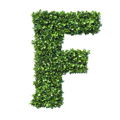 Poster - Green leaves form the letter F