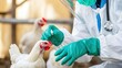 © 姚 姚 - Veterinarian in protective gear carefully inspecting poultry, emphasizing health and safety in animal care.