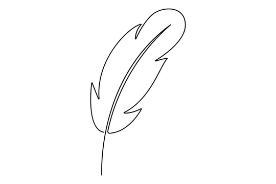 Bird feather continuous one line drawing of bird feather icon  Isolated on white background vector illustration
