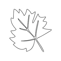 Wall Mural - one continuous maple leaf vector illustration