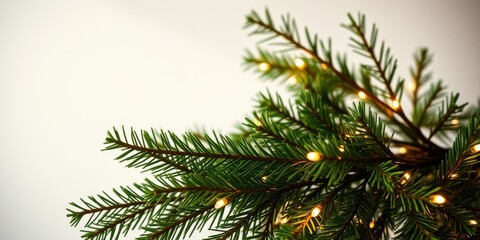 Wall Mural - Close-up of pine tree branches with warm, glowing lights, creating a festive and celebratory ambiance.