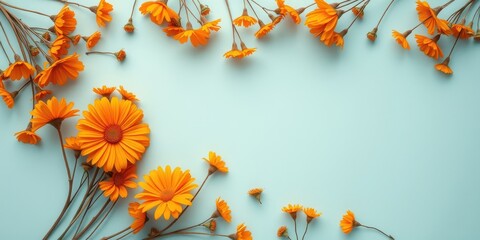 Wall Mural - A border of bright orange wildflowers arranged in a delicate frame on a soft blue backdrop