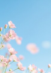 Poster - Elegant Minimalist Floral Scene Soft Pink Blossoms Against Clear Blue Sky