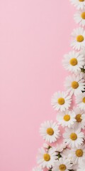 Poster - Minimalist White Daisy Flowers on Pink Background for Spring and Summer