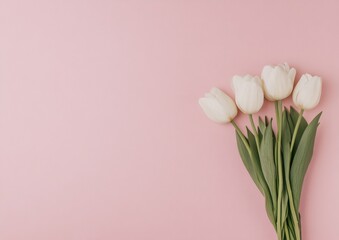 Poster - Minimalist White Tulips on Pink Background - Spring Floral Stock