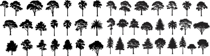 silhouette tree line drawing set, Side view, set of graphics trees elements outline symbol for architecture and landscape design drawing. Vector illustration in stroke fill in white. Tropical