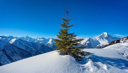 Canvas Print - snow and tree