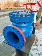 Sticker - A vivid blue valve featuring a striking red flange is prominently on display outside, surrounded by a blanket of snow, showcasing its design even in the cold winter weather