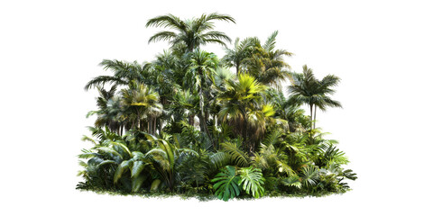 Wall Mural - dense tropical jungle featuring palm trees isolated on transparent background