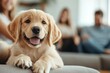 © Odin AI - Cute golden retriever puppy playing at home with family members in a cozy living room setting
