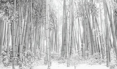 Wall Mural - Dense bamboo forest pencil sketch, tall stalks reaching upward, soft light filtering through, detailed shading creating depth and tranquility,