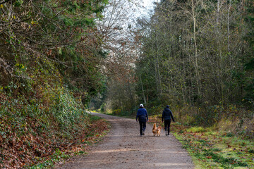 Two women with happy dogs walking on a wide gravel trail, Cross Kirkland Corridor, outside on a sunny winter day, healthy lifestyle choice for exercise and recreation
