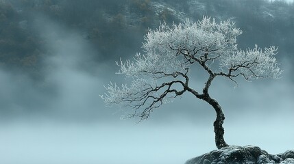 Beautifully Captured Leafless Tree in a Tranquil Winter Scene