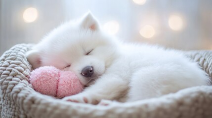 Wall Mural - A sleeping white puppy cuddles a pink toy in a cozy basket with a soft background.