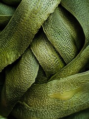 Poster - Close-up view of intertwined green plant leaves showcasing texture and patterns.