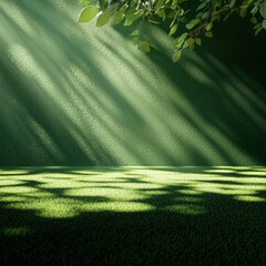 Canvas Print - Serene green backdrop with soft shadows