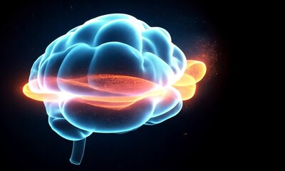 Poster - Illuminated Brain: A Digital Visualization of Neural Pathways and Cognitive Processes