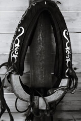 Poster - A close-up shot of a black and white horse saddle, great for editorial use.