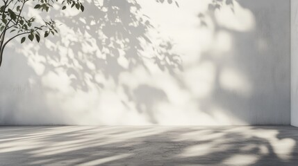 Poster - bright studio background with shadow play on white wall and concrete floor ideal for cosmetic produc
