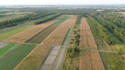 Wall Mural - Aerial countryside view with farmland