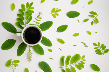 Cup of coffee and acacia leaves composition. Background with a cup of Coffee and acacia leaves.