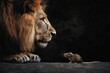 © alphaspirit - Big lion and small rat facing each other on dark background