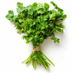 Poster - Bunch of fresh parsley tied with twine, isolated on a white background, representing healthy eating and culinary herbs