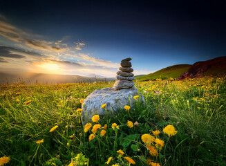 Poster - Serene sunset over a mountain meadow.  A balanced rock cairn sits on a large stone amidst vibrant yellow wildflowers. Peaceful, idyllic landscape.