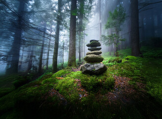 Poster - Misty forest scene, sunlight filtering through trees, moss-covered ground, a carefully balanced rock cairn stands serene amidst the ancient woods.  A sense of peace and tranquility pervades the image.