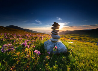 Poster - Serene sunset over mountain meadow.  A balanced rock cairn stands amidst vibrant wildflowers, bathed in golden light. Tranquil nature scene.